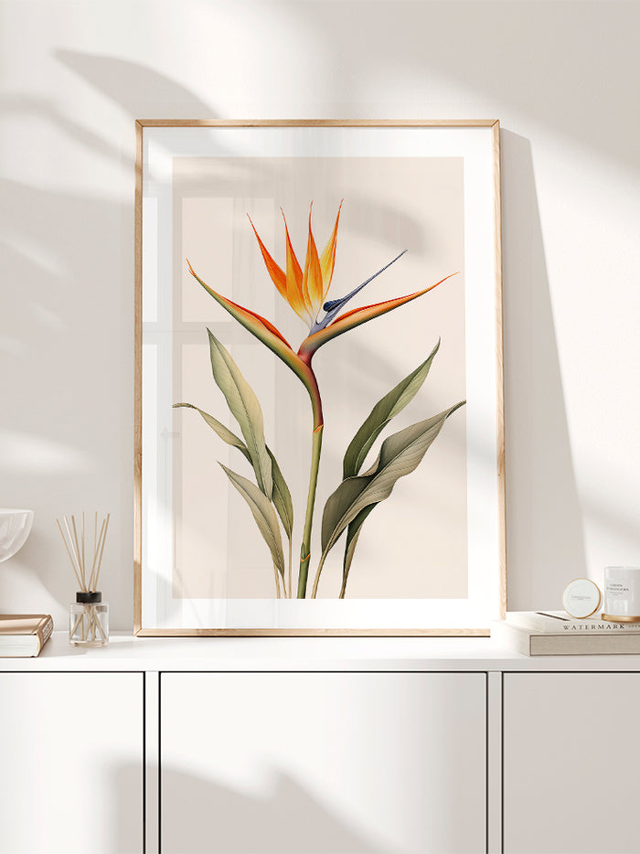 Starliçe - Art Print Poster