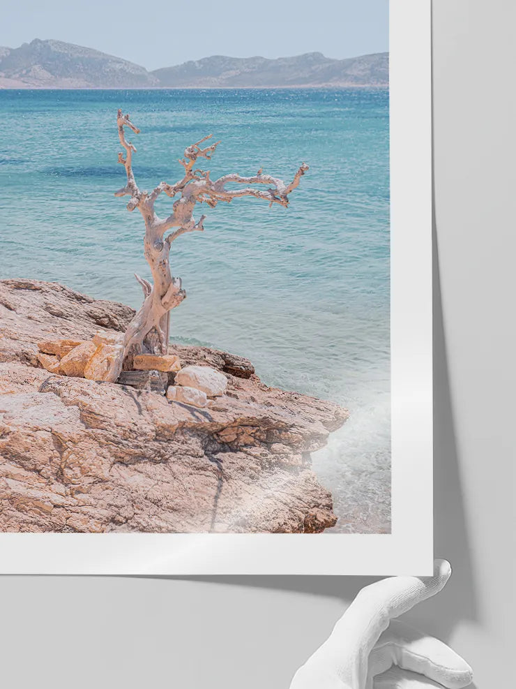 Kuru ağaçlı deniz manzarası posteri
