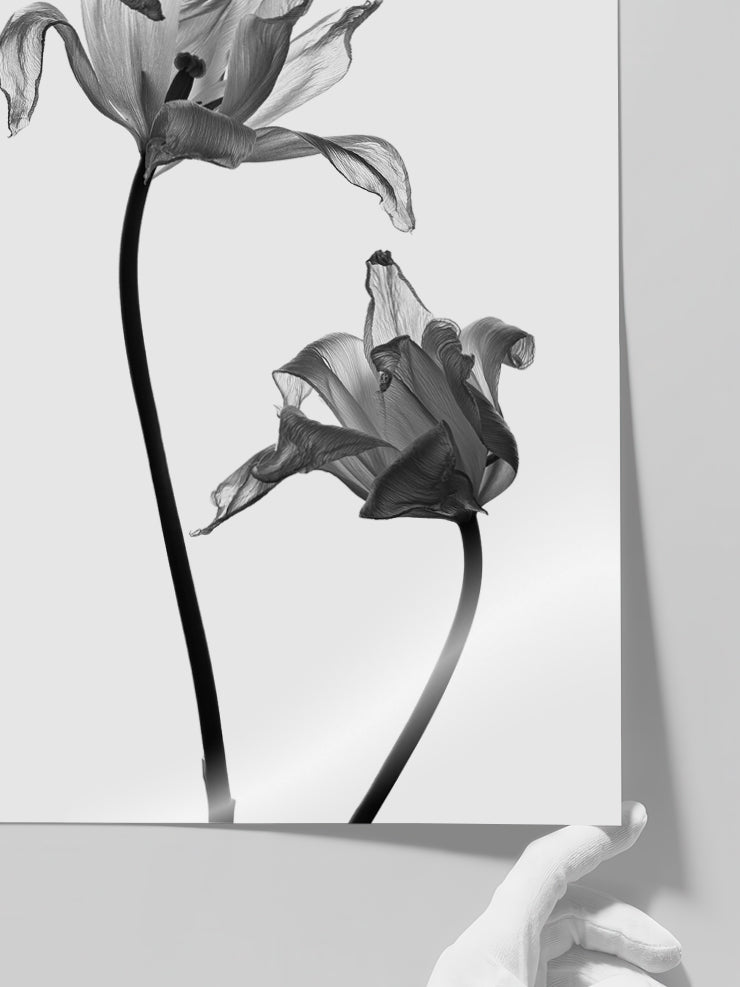 Sensualité - Art Print Poster