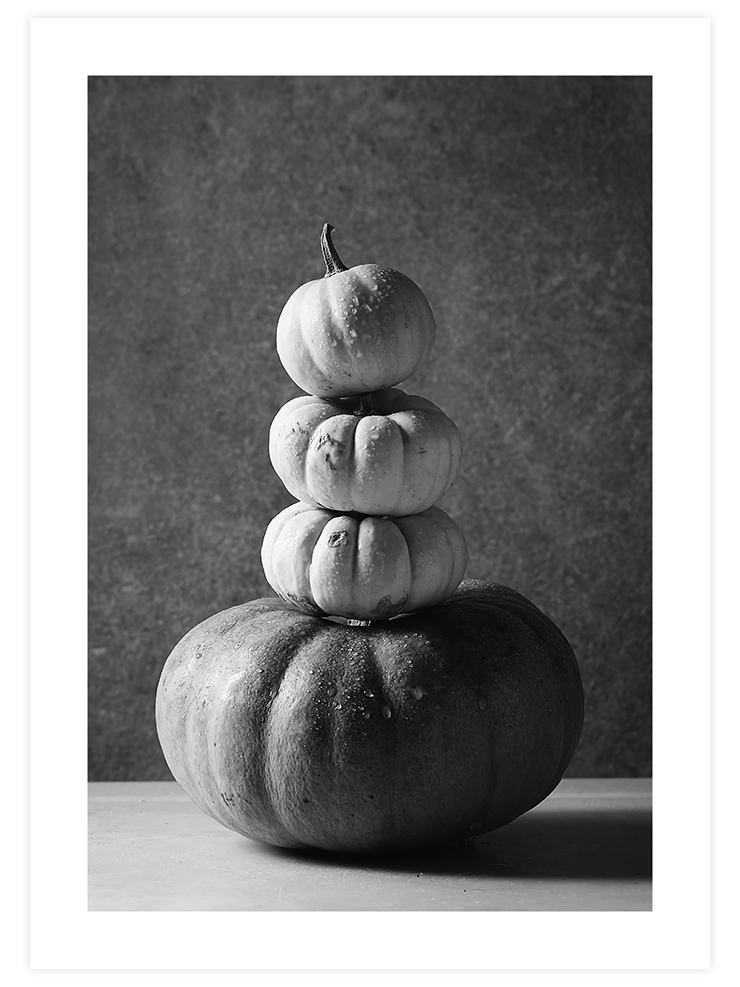 Balkabakları - Art Print Fotoğraflar Poster