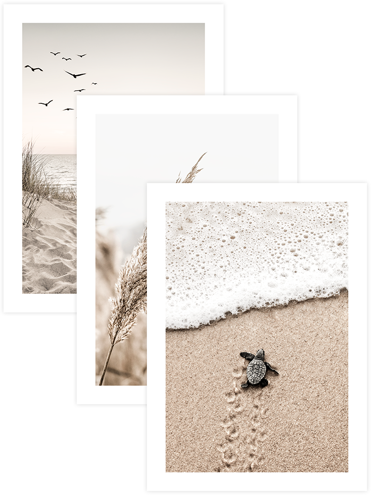 Beige & Beyond - Poster Seti Trio Fotoğraflar Poster