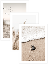 Beige & Beyond - Poster Seti Trio