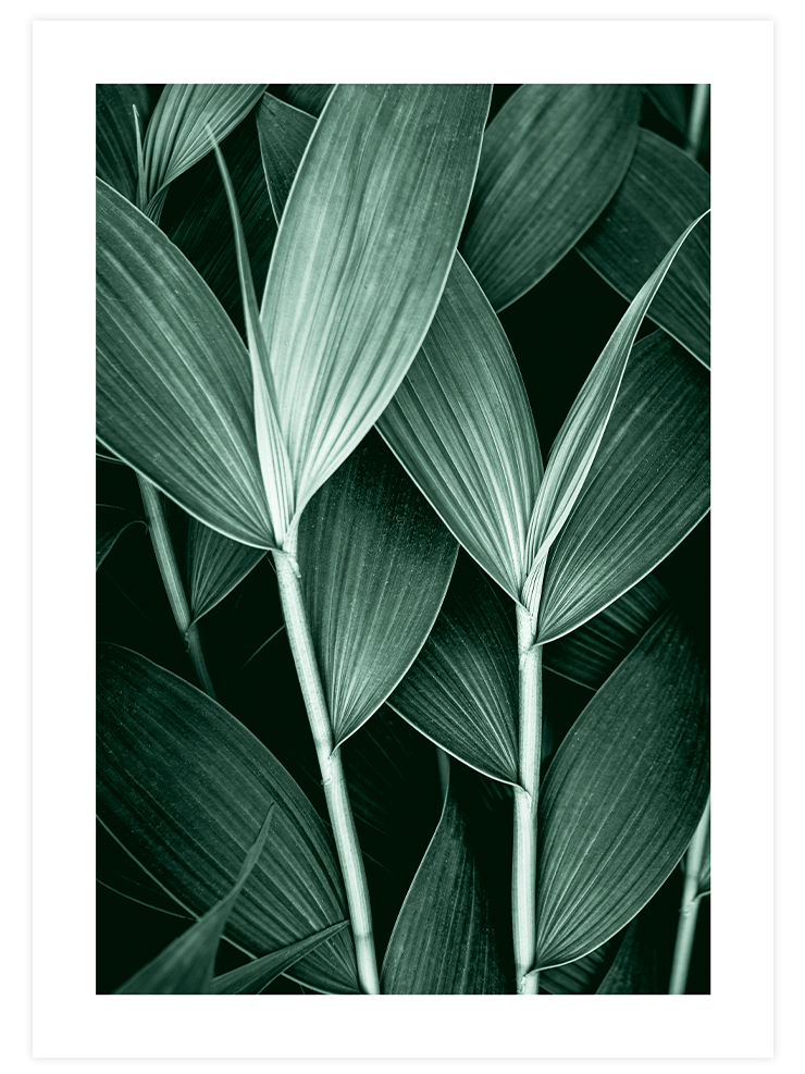 Green Beauty Poster Seti Poster