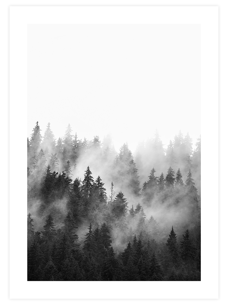 Siyah Beyaz Orman - Art Print Fotoğraflar Poster