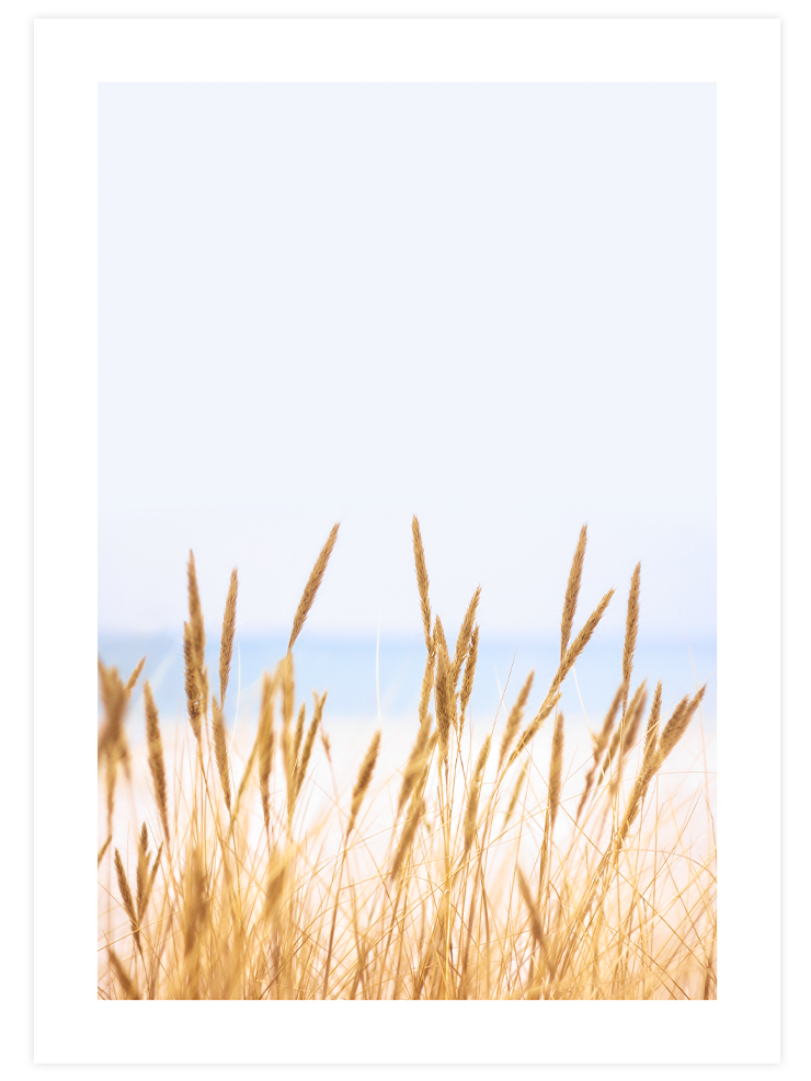 Abundance - Poster Seti Trio Poster
