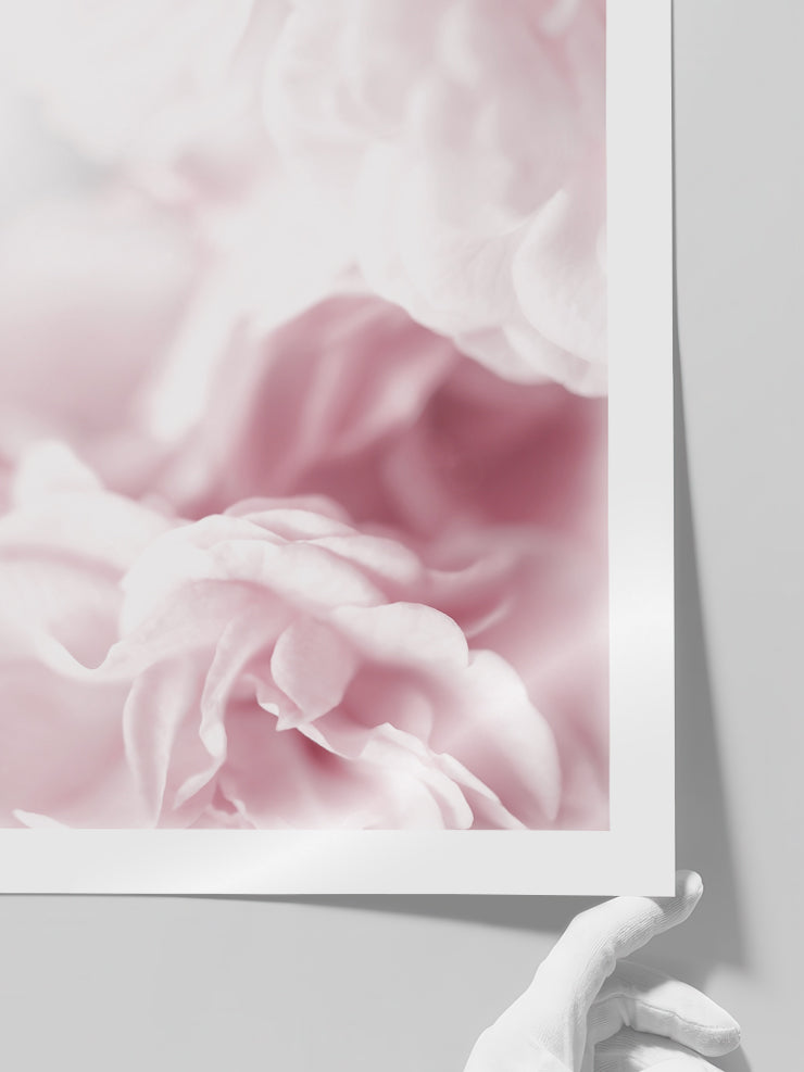 Pink Dream - Art Print Poster