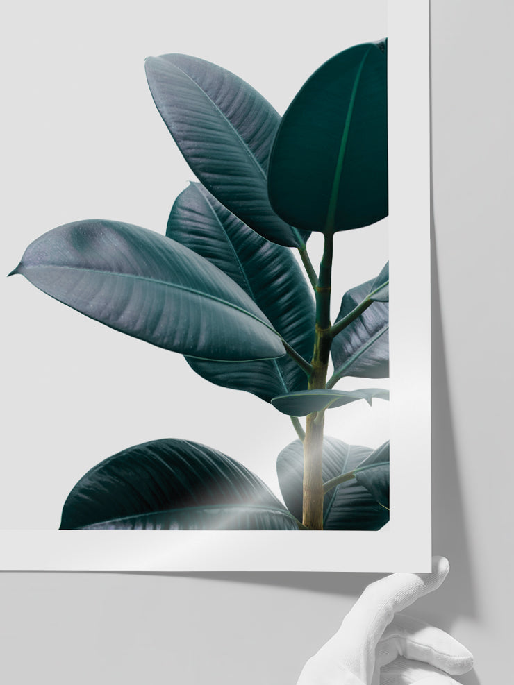 Yeşil Bitki Aşkı N1 - Art Print Poster