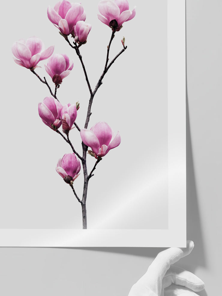 Manolya - Art Print Poster
