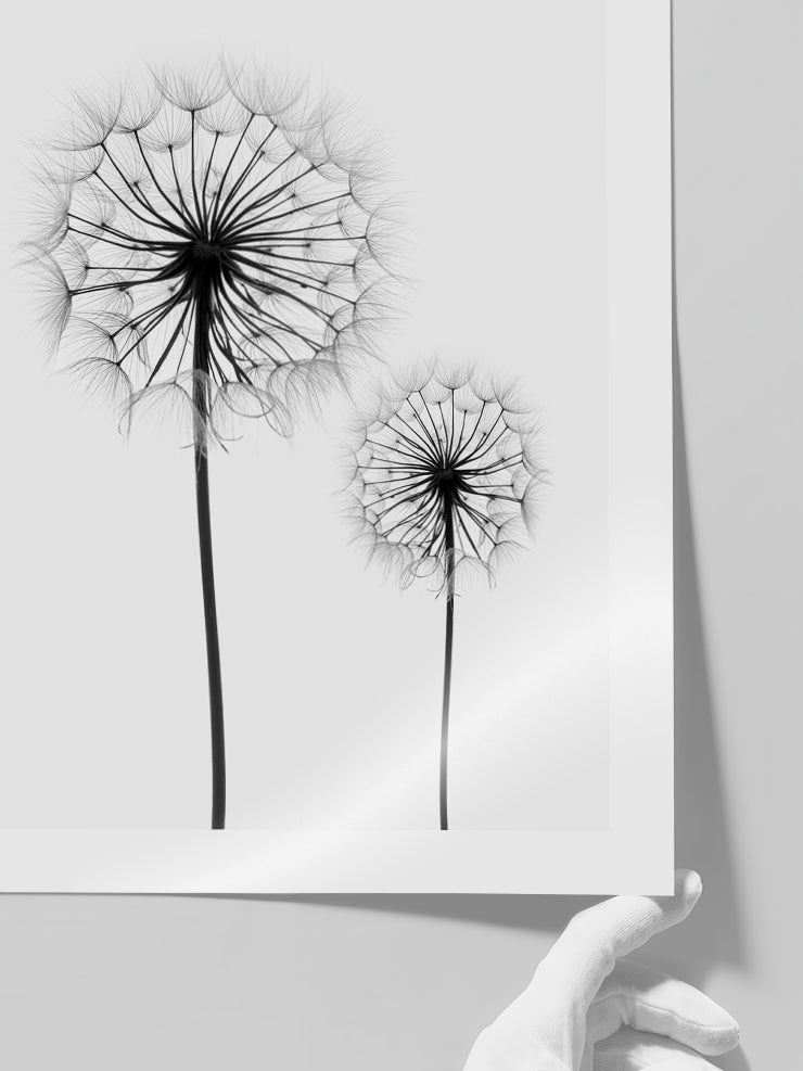 Dandelion N2 - Art Print Poster