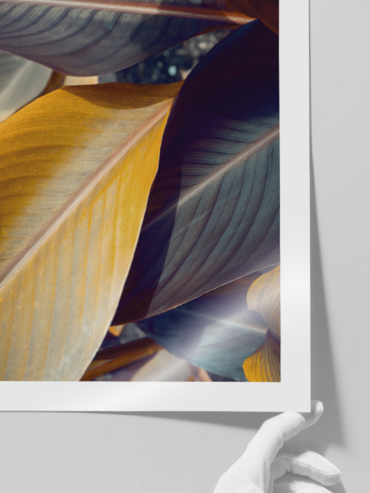 Makro Yaprak N2 - Art Print Poster