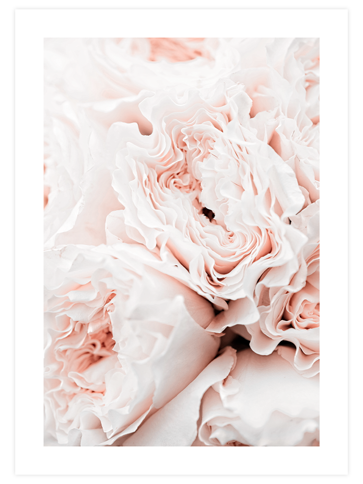 Pink Touch Poster Seti Poster