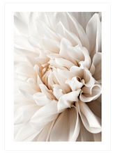 Art in Flower - Art Print