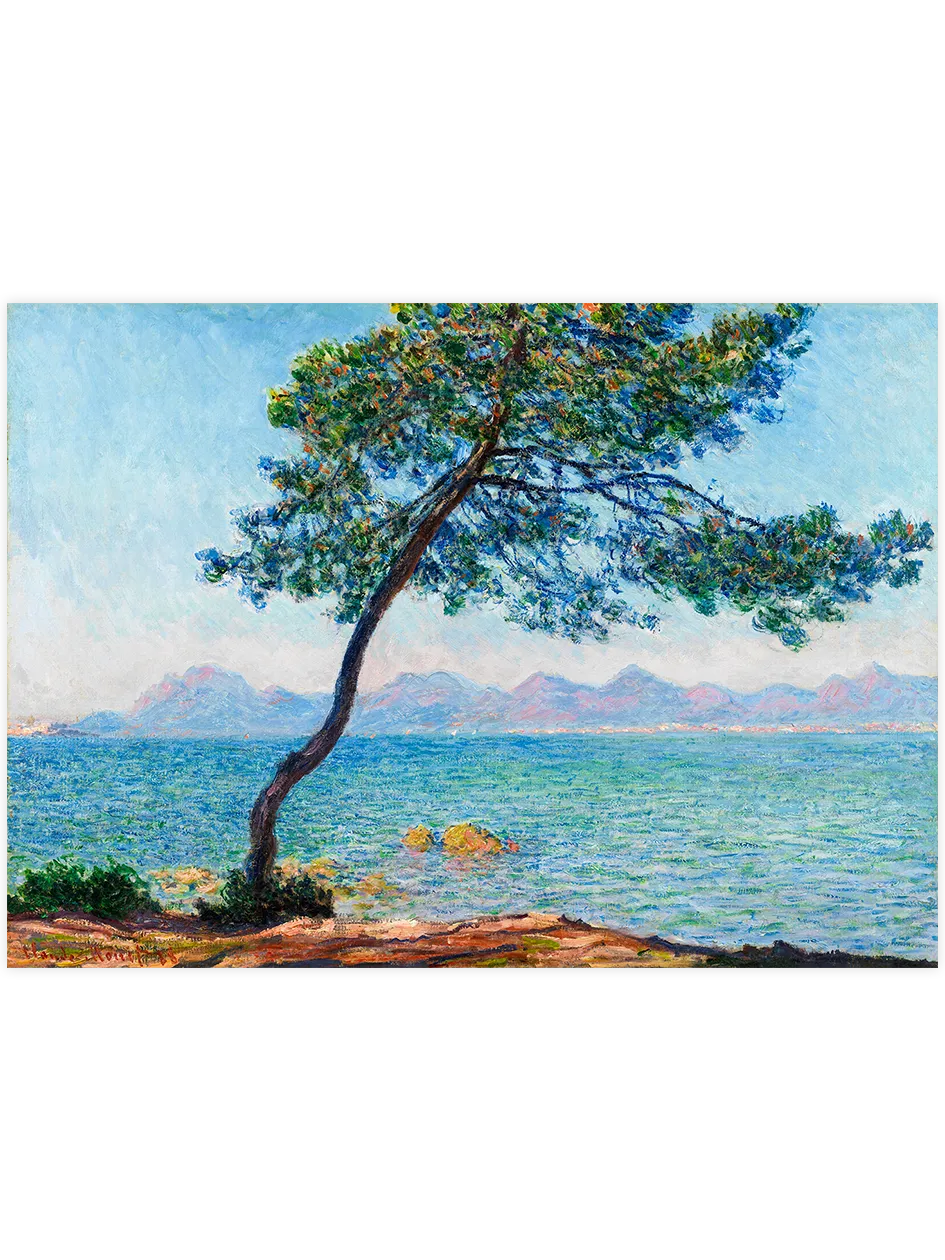 Antibes kıyısında çam ağacı ve deniz.