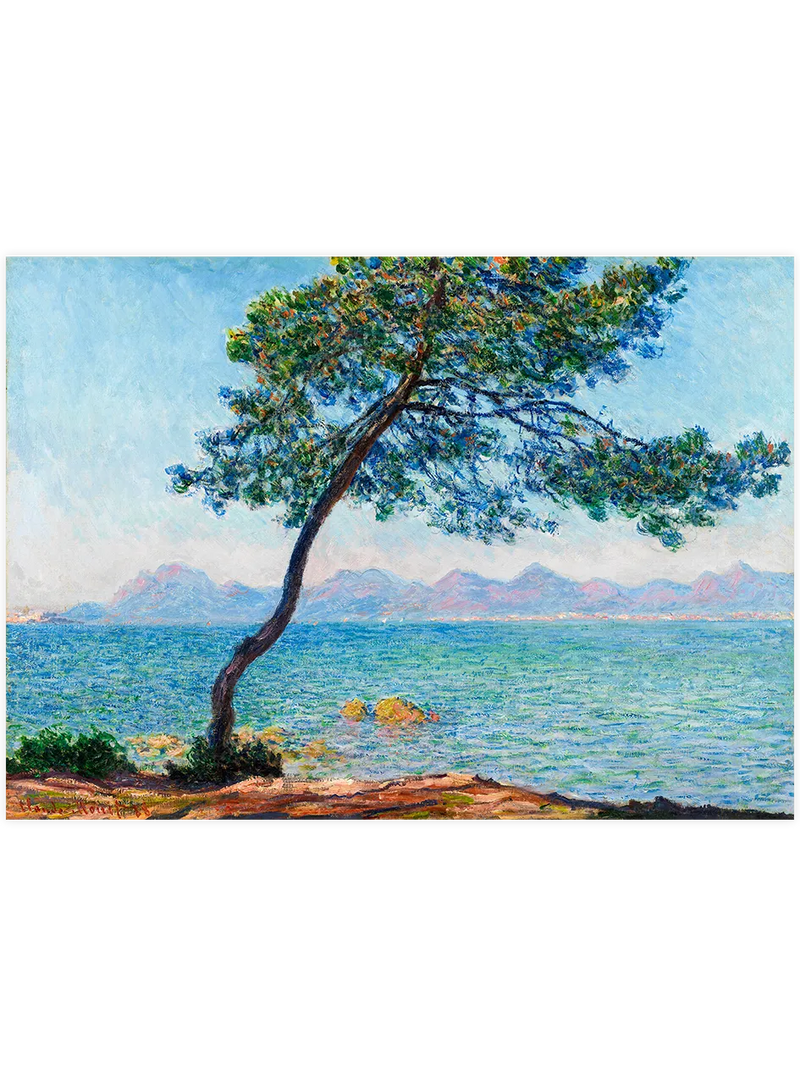 Antibes kıyısında çam ağacı ve deniz.