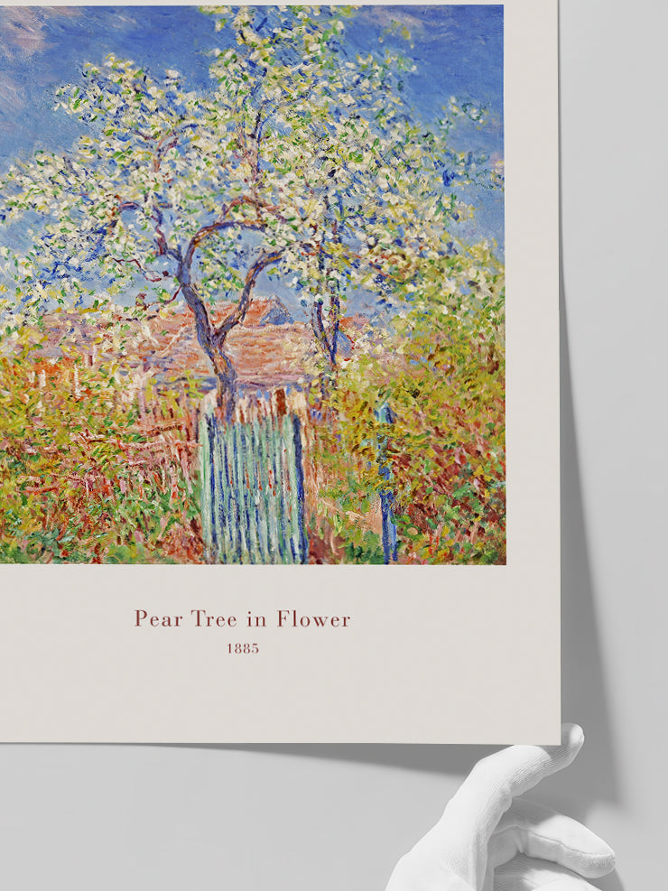 Monet Pear Tree in Flower - Art Print Poster