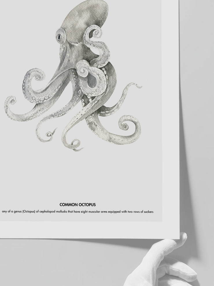 Ahtapot - Art Print Poster