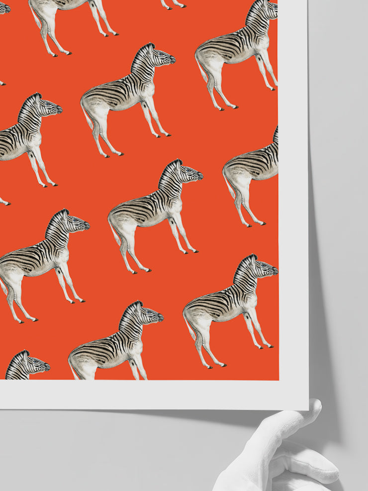 Zebralar - Art Print Poster