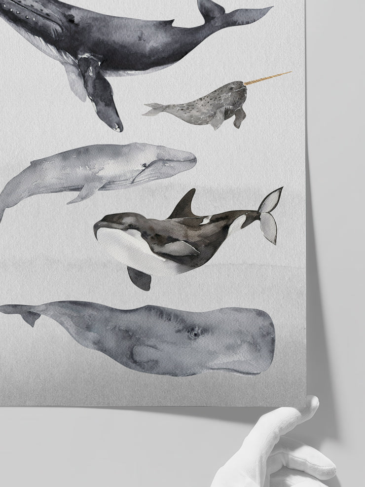 Whales - Art Print Poster