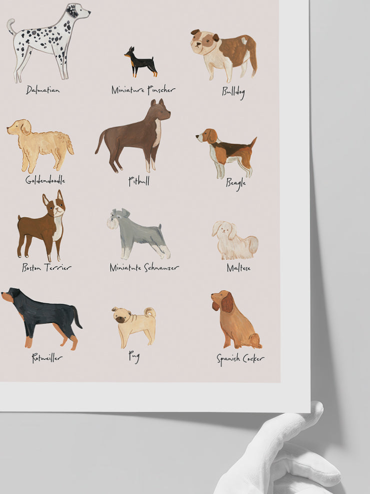 Doggy Friends - Art Print Poster