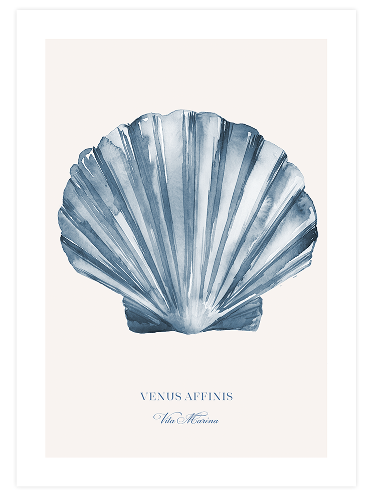 Vita Marina - Poster Seti Trio Poster