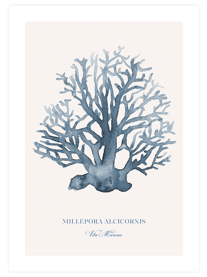 Vita Marina - Poster Seti Trio Poster