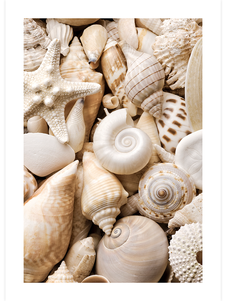 Great & Simple Life Poster Seti