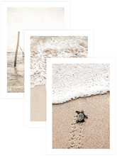 Natural Beige - Poster Seti Trio