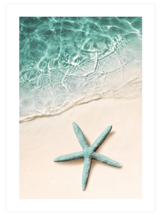 Yeşil Deniz Yıldızı Poster - Giclée Baskı