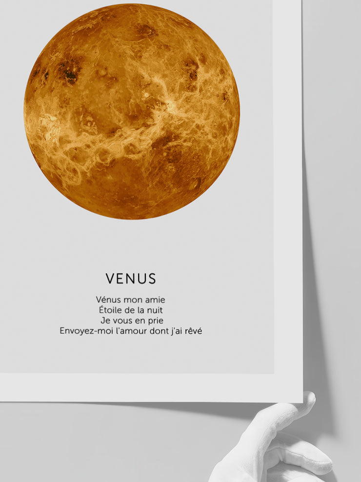 Venus - Art Print Poster