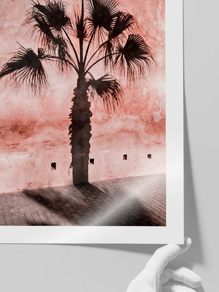 Le Palmier - Art Print Poster