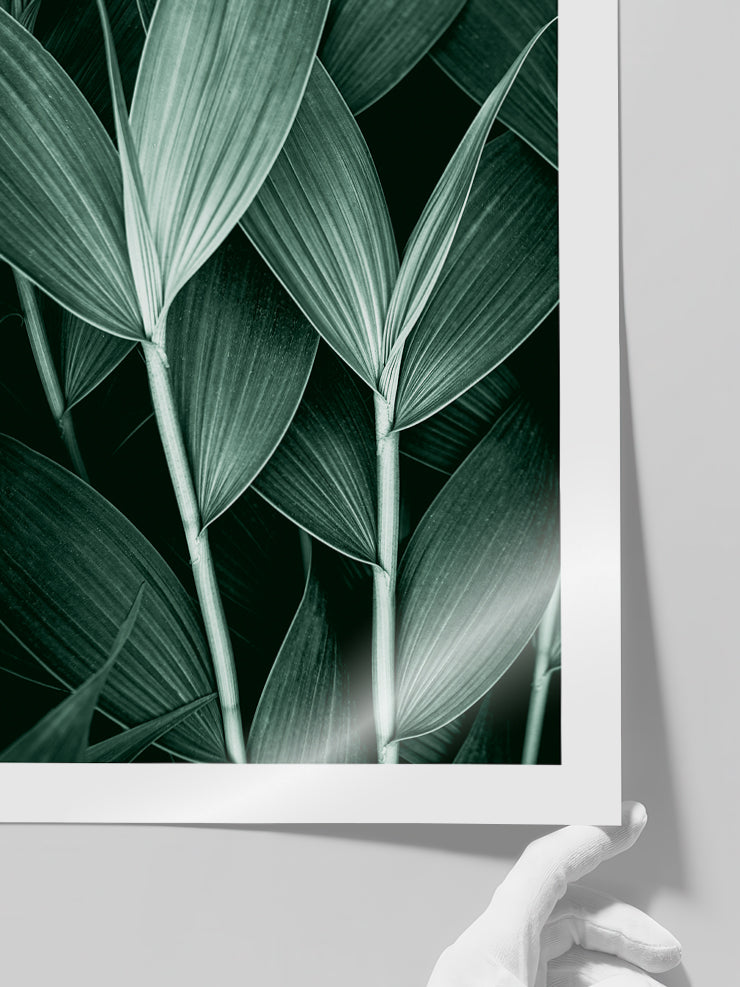 Estetizm N3 - Art Print Poster