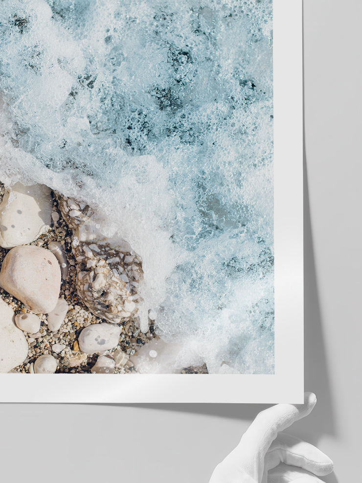 Deniz Köpüğü N2 - Art Print Poster