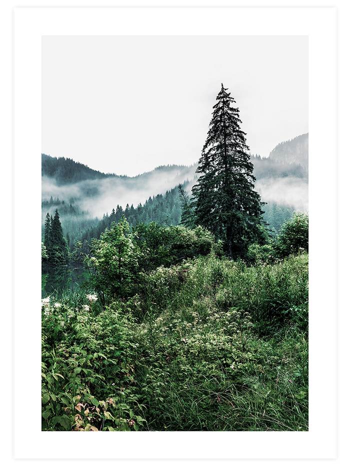 Nefes - Poster Seti Poster