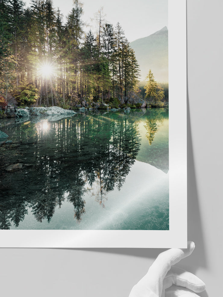 Nature Vibes - Art Print Poster