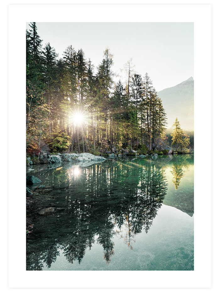 Nature Vibes - Poster Seti Poster