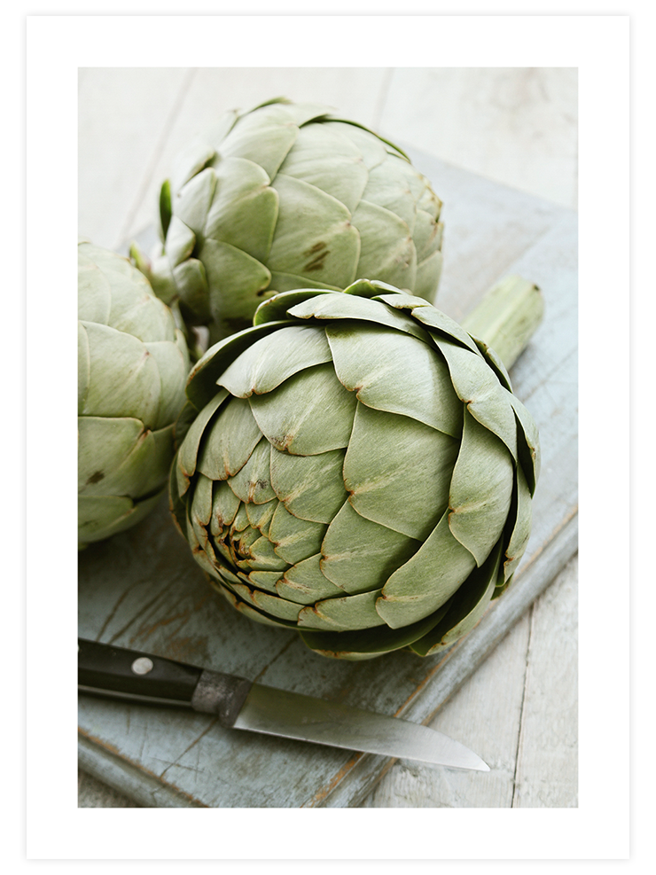 Alcachofa - Art Print Fotoğraflar Poster