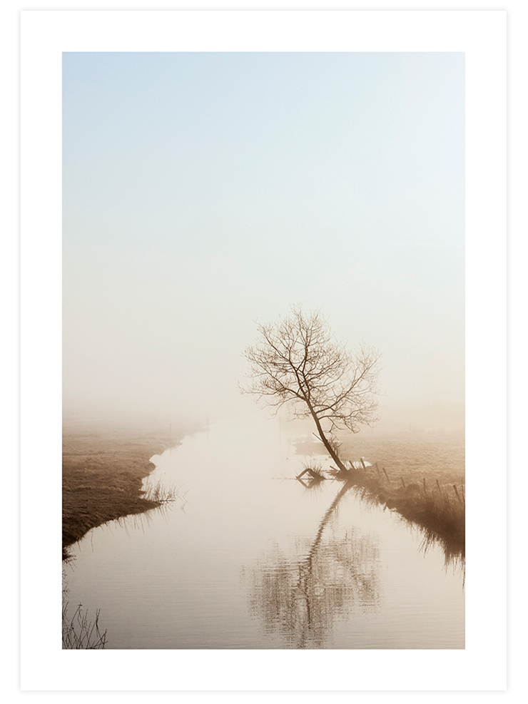 Naturally Beautiful Poster Seti Poster