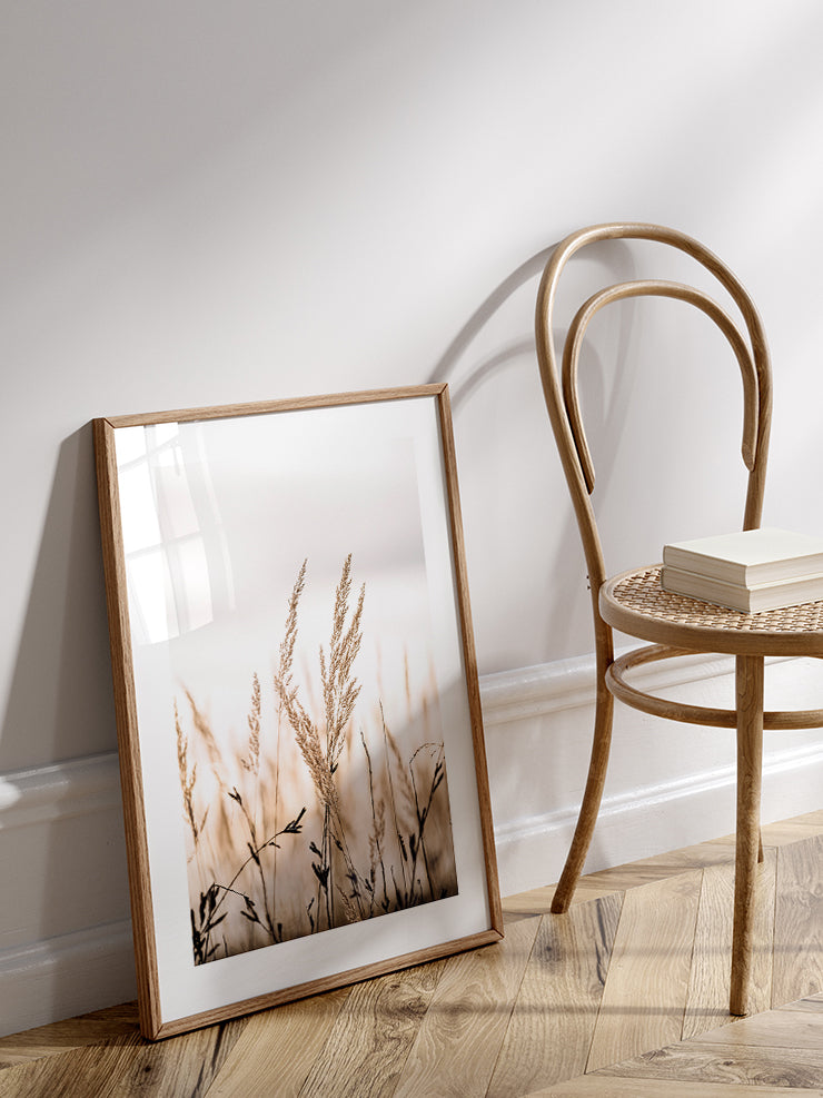 Golden Reed - Art Print Poster