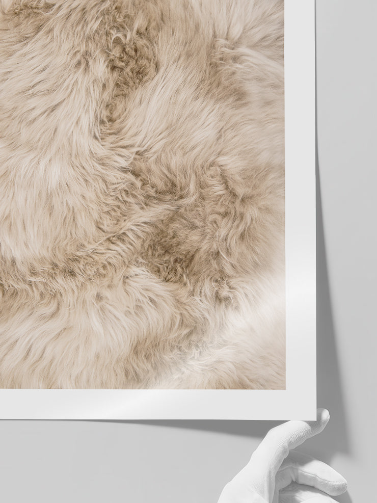 Tout Doux - Art Print Poster