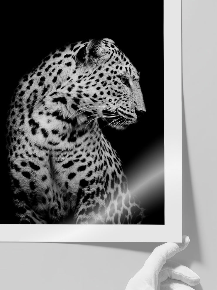 Leopar Profili - Art Print Poster