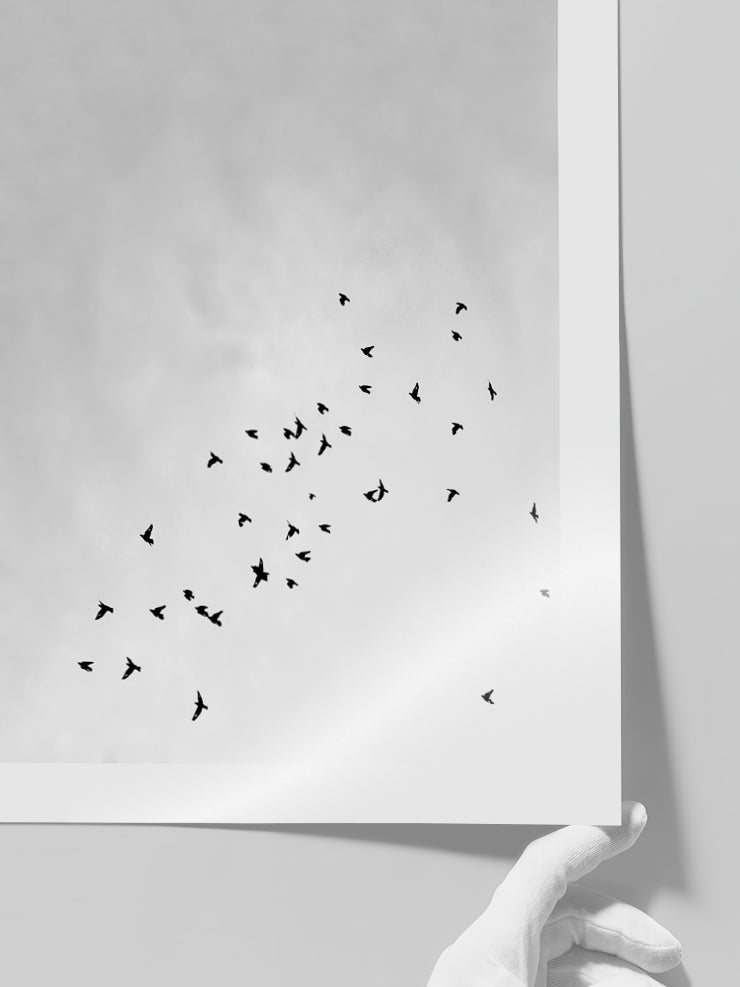 Like A Bird - Art Print Poster