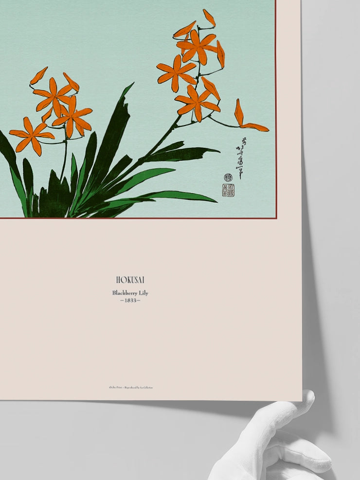 Hokusai Blackberry Lily posterini yakından gösteren görsel