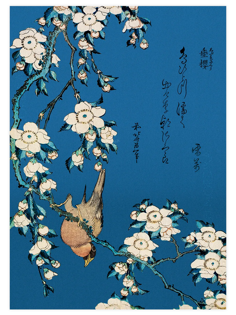 Hokusai, Bullfinch and Weeping Cherry poster