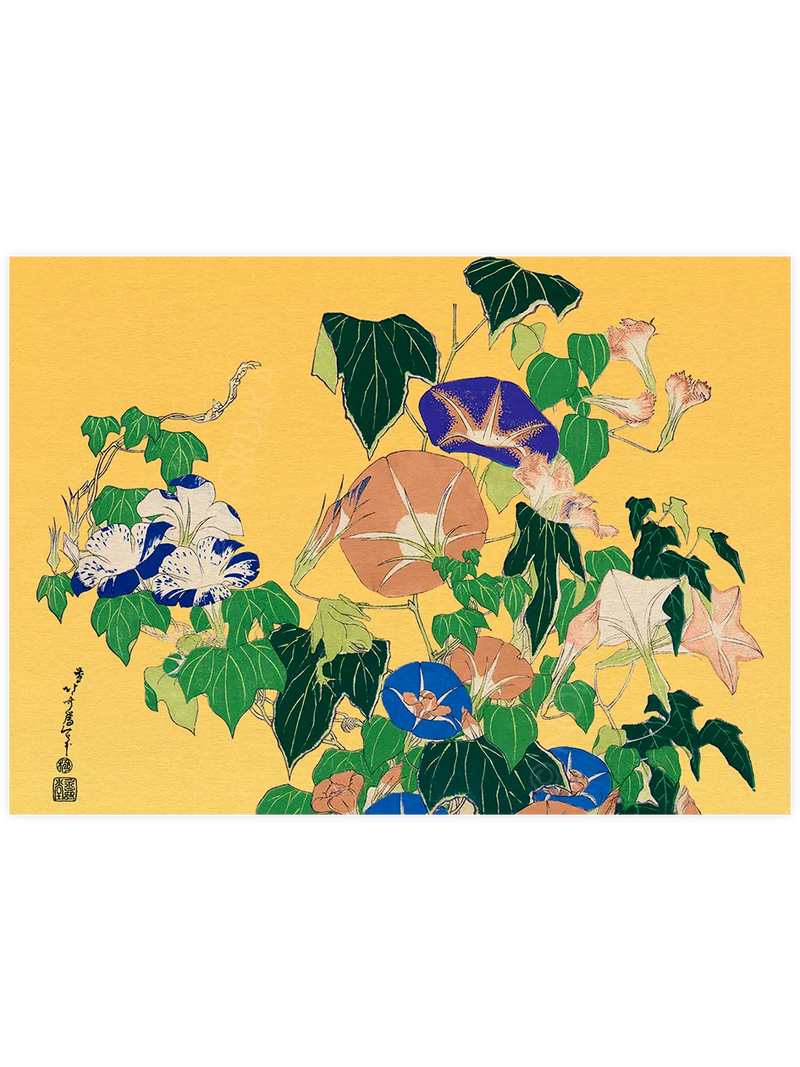 Hokusai Morning Glories and Tree Frog poster
