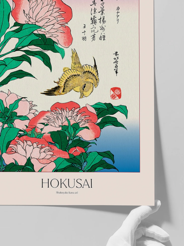 Hokusai, Shakuyaku Kana Ari posterini daha yakından gösteren görsel