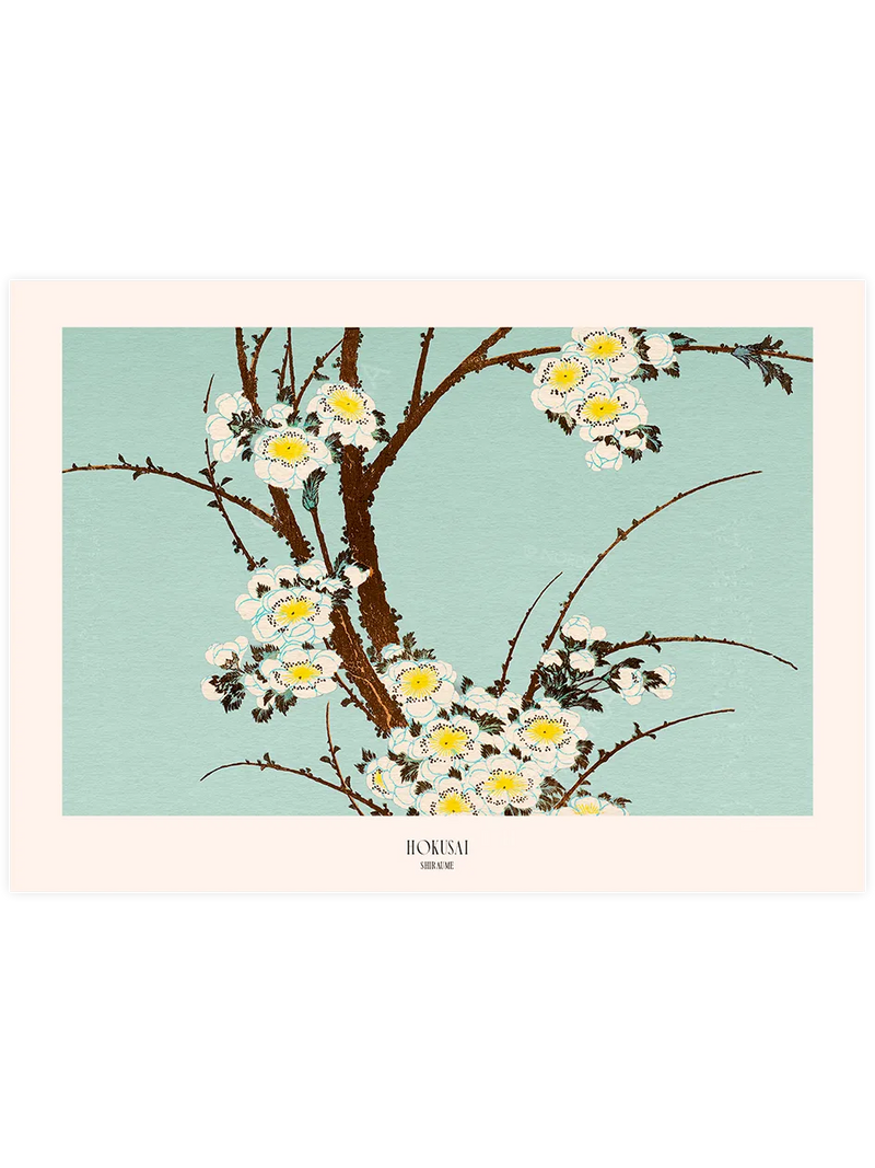 Hokusai Shiraume poster