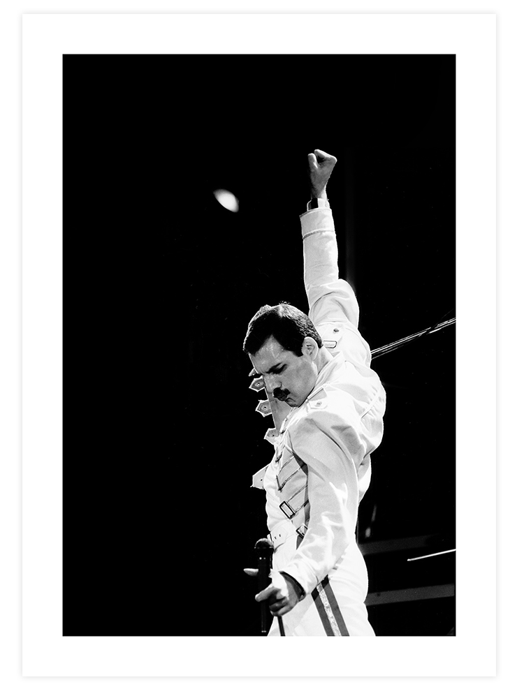 İkonik Freddie - Art Print Fotoğraflar Poster