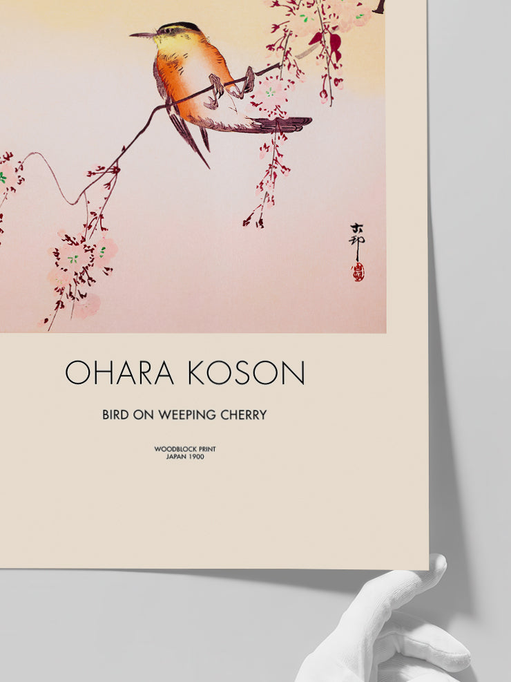 Ohara Koson Bird on Weeping Cherry - Art Print Poster