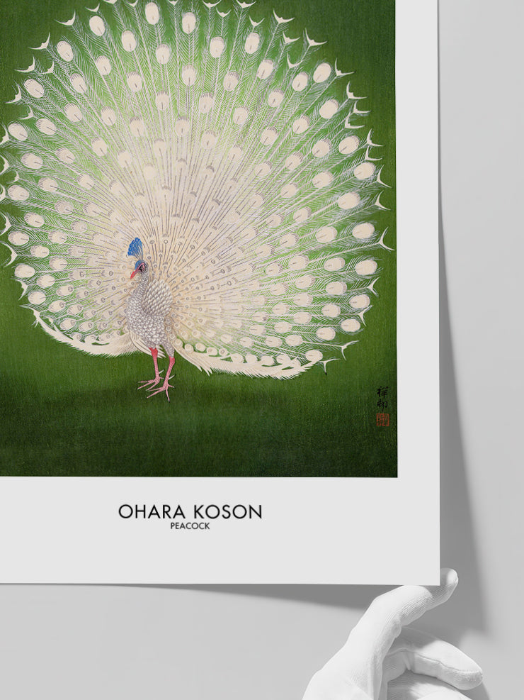 Ohara Koson Peacock - Art Print Poster