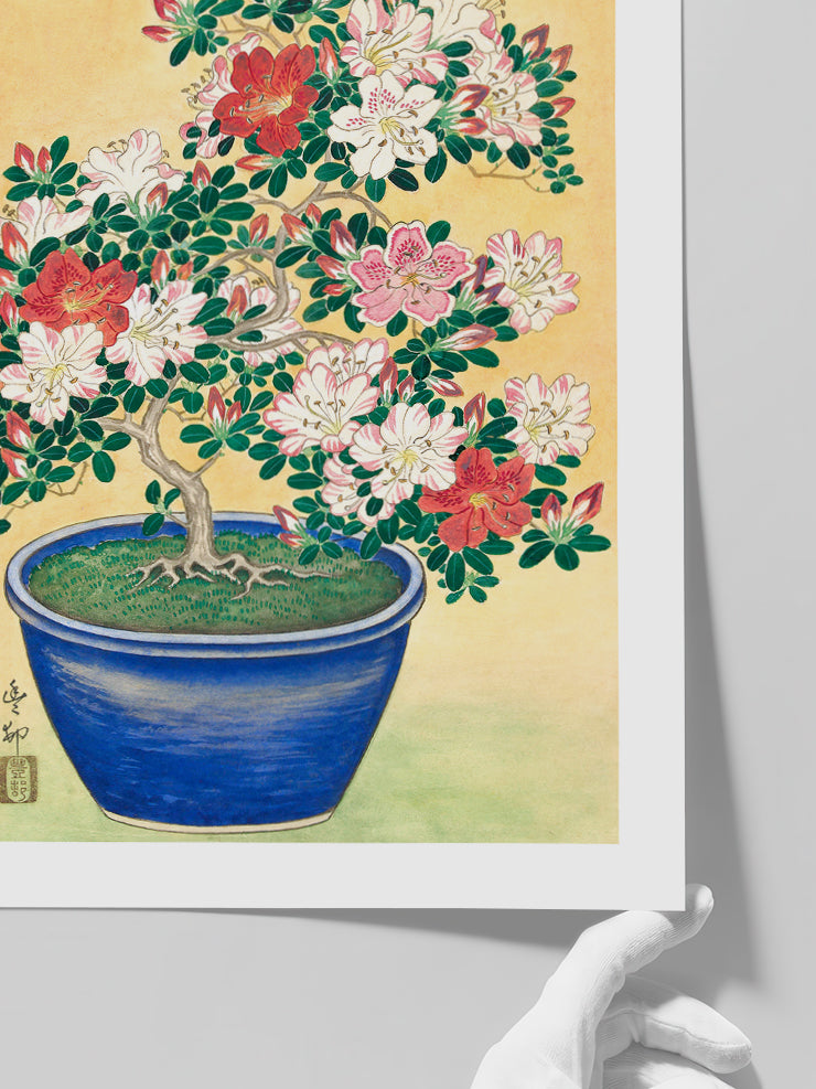 Ohara Koson N7 - Art Print Poster